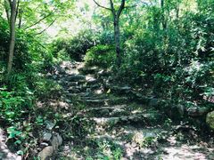 -云岫谷自然风景区