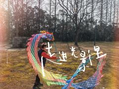 -前小桔亲子创意农场·草莓采摘·露营烧烤