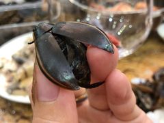 -莫华(锦绣趣园北街店)