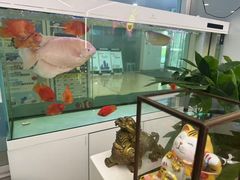-艺年级儿童语言艺术中心(冉家坝爱融荟城店)