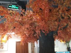 -雲蜀龙阁·金牌水煮鱼(方庄店)