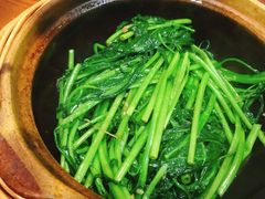 啫啫虾酱空心菜-熠盛粤味(永康路店)
