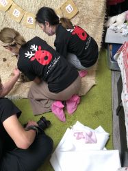 -DeerFriend童趣主题上门拍·到家·外拍摄影机构 (国贸店)