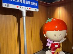 -海底捞火锅鲜切牛肉主题店(长寿路店)