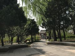 -元大都城垣遗址公园