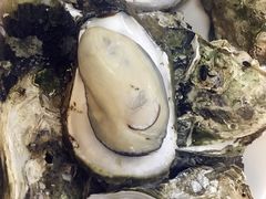 桑拿蠔-天宝食坊·啫啫煲大排档(西华路店)