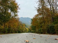 -三块石国家森林公园