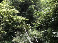 -贵阳猴耳天坑·极限酷玩公园