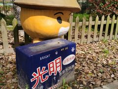 -上海都市菜园