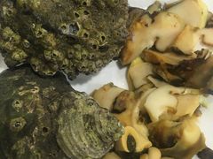 -食海部落