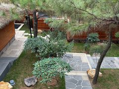 -东海森林温泉度假酒店