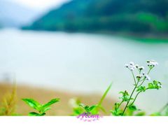 -黄金沟旅游风景区