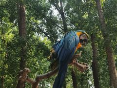 -北京野生动物园