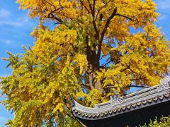 -惠山古镇·寄畅园