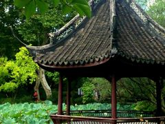 -上海醉白池公园