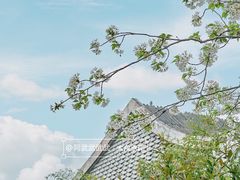 -国际非物质文化遗产博览园