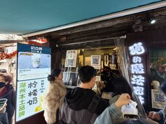 -猫的魔法密林(衣裳街店)