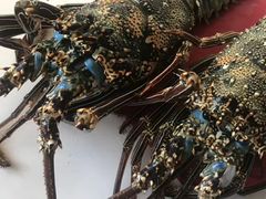 -万宝海鲜舫(劳动公园店)