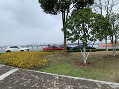 -合肥滨湖国家森林公园