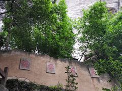 -武夷山风景名胜区-虎啸岩