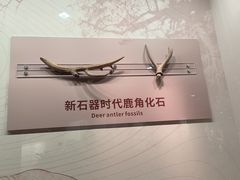 -淮安市博物馆