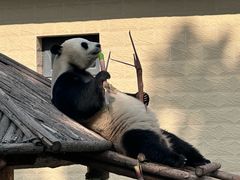 -石家庄市动物园