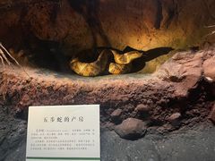 -浙江自然博物院(杭州馆)