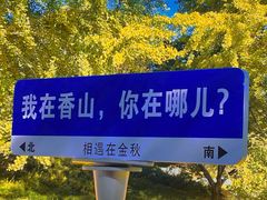 -香山公园