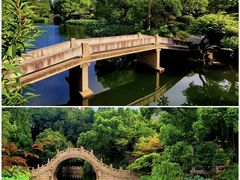-南园(太仓市)