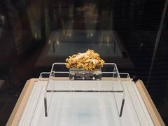-安徽省地质博物馆