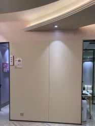 -深圳鹏爱秀琪医疗美容医院
