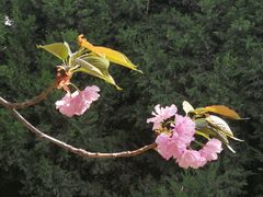 -永阳公园