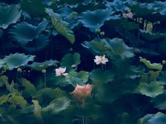 -龙潭水乡