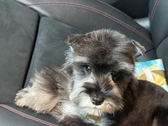 -派特宠物医院(圆融广场店)