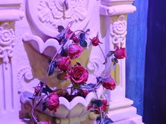 -雪灵魔法世界SHELLY’S TAROT(大良桂畔里店)