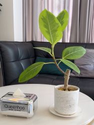 -谦和国际皮肤管理