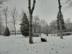 -中国石油大学（北京）(北京西校区)