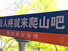 -马岭河峡谷风景区