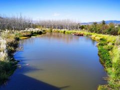 -西昌邛海湿地