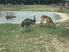 -西安秦岭野生动物园