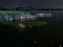 -瑶湖郊野森林公园