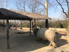 -西安秦岭野生动物园