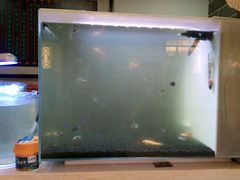 -清真·二嫂子煎饼果子(鼓楼旗舰形象店)