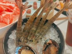 -海底捞大排档火锅(打浦路店)