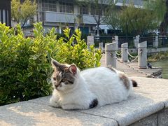 -南通濠河风景名胜区