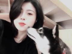 -是阿柴呀！柴犬咖啡·爱喵喵猫咖