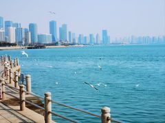 -琴岛之星摩天轮