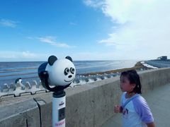 -南汇嘴观海公园