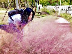 -上海浦江郊野公园-4号停车场