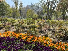 -狼山风景名胜区